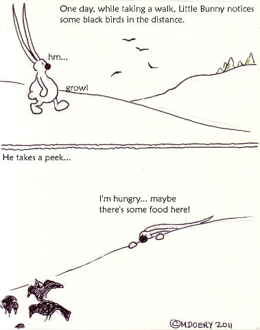 Little Bunny sees black birds
