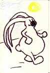 Little Bunny walking